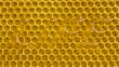 The inscription on honey comb