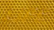 The inscription on honey comb