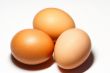  single egg 