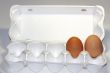  single egg 
