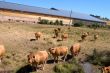 Cattle Sheds Solar Power Station