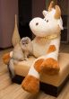cat and toy