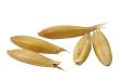 Oats
