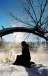Frosty winter morning