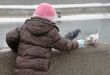 Feeding pigeons in winter.