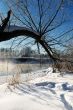 Frosty winter morning