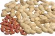 Peanuts 