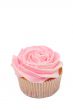 Vanilla cupcake with rose icing