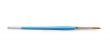 Blue Paintbrush