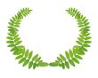 Green Wreath