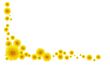Yellow Dandelions Border