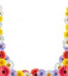 Flower Border
