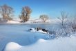 Frosty winter morning