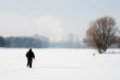 Winter walk with the dog.