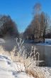 Frosty winter morning