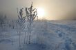 Frosty winter morning