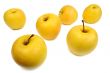 Yellow apples, isolated