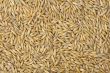 Oats
