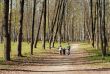 Walk in the Park