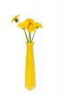 Banch Of Dandelions