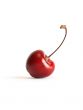 Sweet Cherry On White