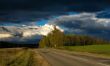 autumn road