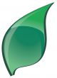 The Green bright leaf