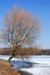 Spring on the lake.