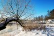 Frosty winter morning