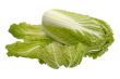 Beijing cabbage, isolated