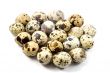 Quail eggs in egg shape  