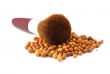 Face Powder brush in mineral make up ball-powder  