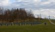 Cemetery of German the soldiers