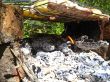 Little fire under the barbeque