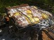 Barbeque on the bonfire