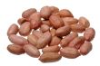 Peanuts.