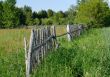 Rural landscape