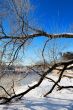 Frosty winter morning