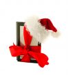 Electronic book reader wearing Santa`s hat