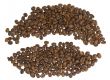 coffee beans on white background