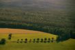 fields and forest