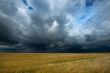 field with wheat and cloudy sky, hdr image 