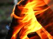 The wood in the fire