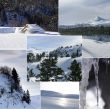 Snowy landscapes