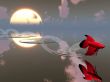 fish and water