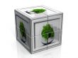 the tree cube