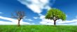 live and dead tree