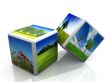 grass and tree box