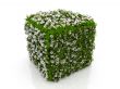 grass and flower