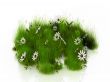 grass and flower